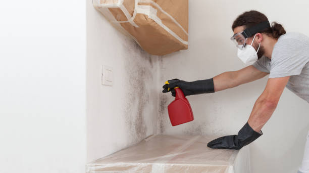 Professional Attic Mold Removal technician working in South Mills, NC